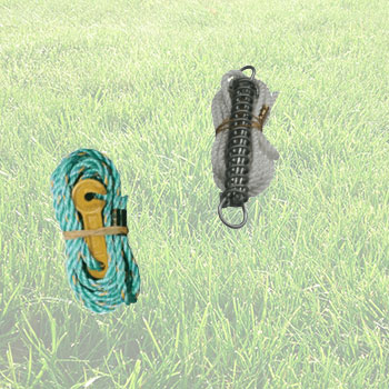 Guy Ropes